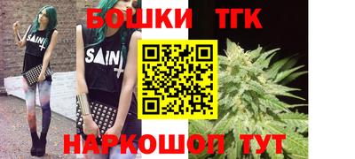 индика Обь