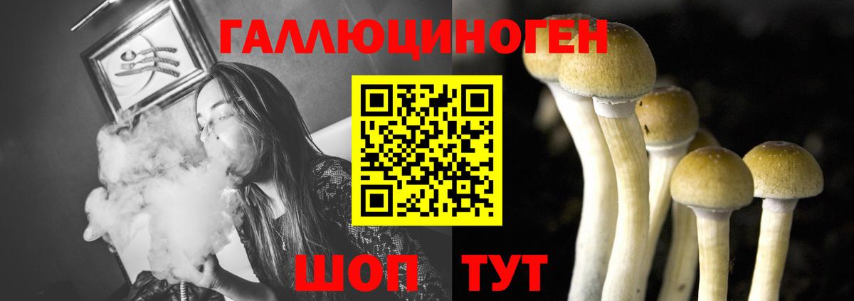 Псилоцибиновые грибы MAGIC MUSHROOMS  Вход с VPN  Сосновый Бор 